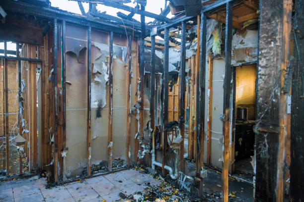 Professional Fire Damage Removal technician working in Eidson Road, TX